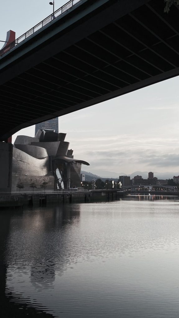 a large body of water under a bridge. Mejores ciudades para inmigrantes en España 