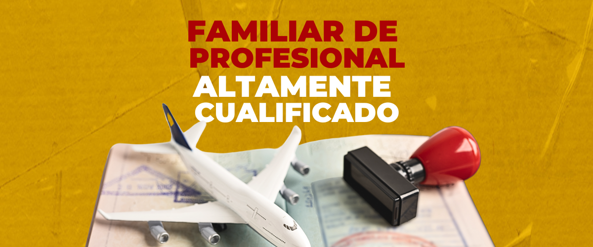 familiares visa Profesional altamente cualificado