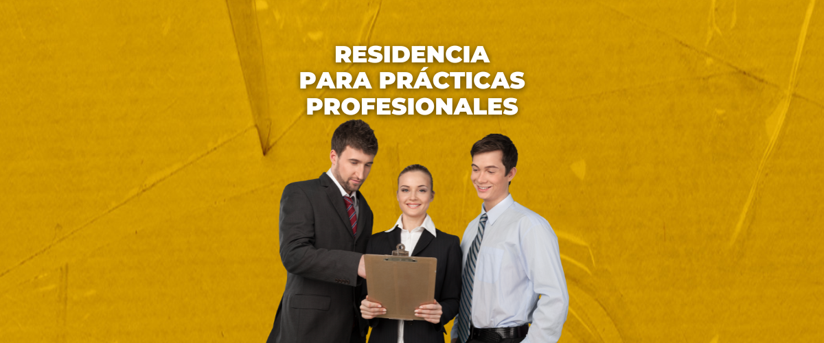 permiso de residencia para prácticas profesionales