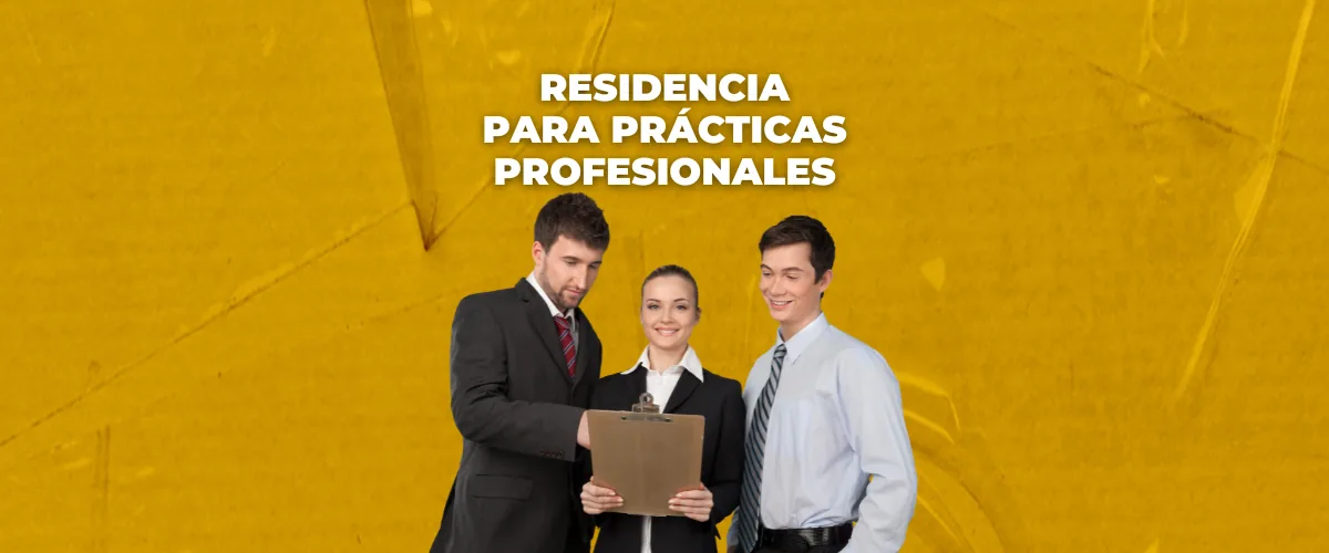 permiso de residencia para prácticas profesionales