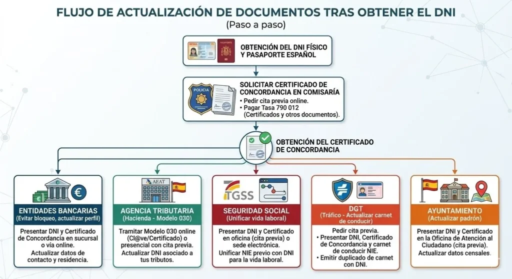 Diagrama paso a paso para actualizar bancos, DGT y Seguridad Social